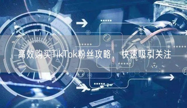 高效购买TikTok粉丝攻略，快速吸引关注