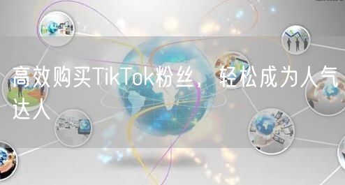 高效购买TikTok粉丝，轻松成为人气达人