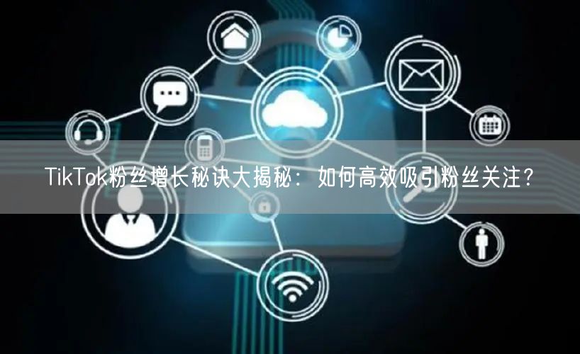 TikTok粉丝增长秘诀大揭秘：如何高效吸引粉丝关注？