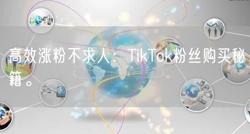 高效涨粉不求人：TikTok粉丝购买秘籍。