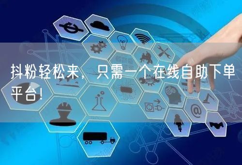 抖粉轻松来，只需一个在线自助下单平台！
