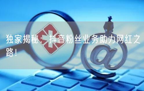 独家揭秘：抖音粉丝业务助力网红之路！