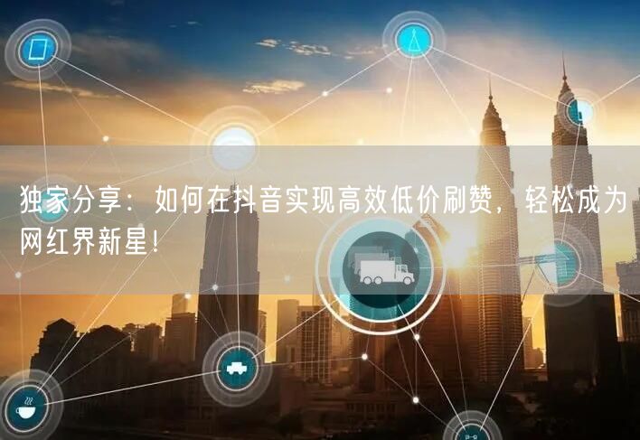 独家分享：如何在抖音实现高效低价刷赞，轻松成为网红界新星！
