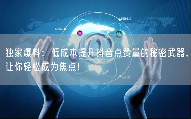 独家爆料：低成本提升抖音点赞量的秘密武器，让你轻松成为焦点！