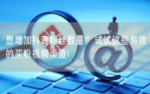 想增加抖音粉丝数量？试试这些有效的买粉视频渠道!