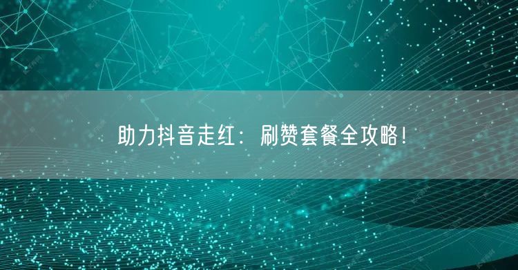 助力抖音走红：刷赞套餐全攻略！