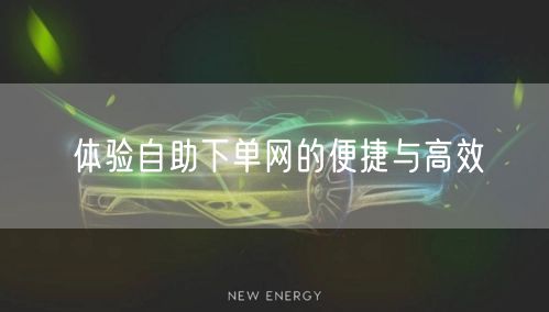 体验自助下单网的便捷与高效