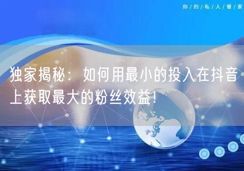 独家揭秘：如何用最小的投入在抖音上获取最大的粉丝效益！