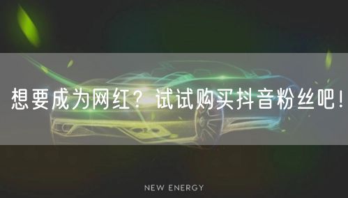 想要成为网红？试试购买抖音粉丝吧！