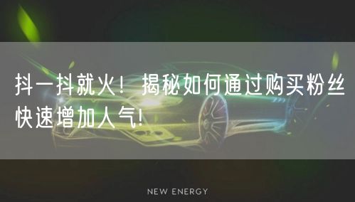 抖一抖就火！揭秘如何通过购买粉丝快速增加人气!