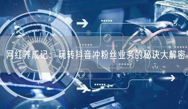 网红养成记：玩转抖音冲粉丝业务的秘诀大解密