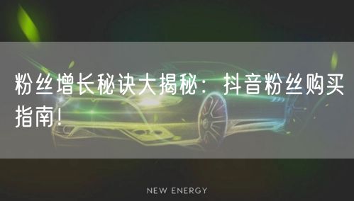 粉丝增长秘诀大揭秘：抖音粉丝购买指南！