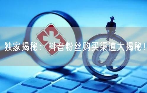 独家揭秘：抖音粉丝购买渠道大揭秘！