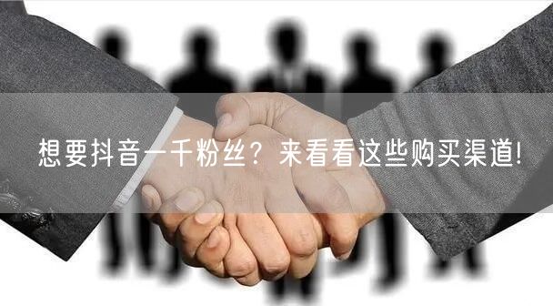 想要抖音一千粉丝？来看看这些购买渠道!