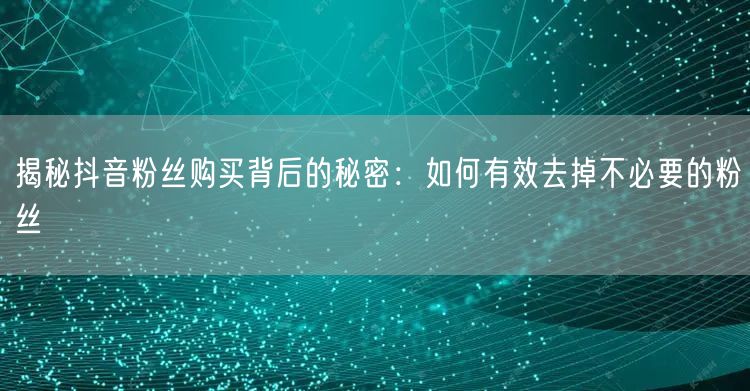 揭秘抖音粉丝购买背后的秘密：如何有效去掉不必要的粉丝