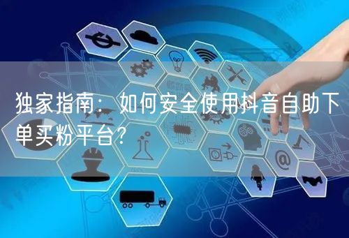 独家指南：如何安全使用抖音自助下单买粉平台？