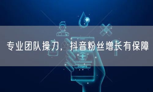 专业团队操刀，抖音粉丝增长有保障