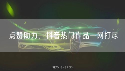 点赞助力，抖音热门作品一网打尽