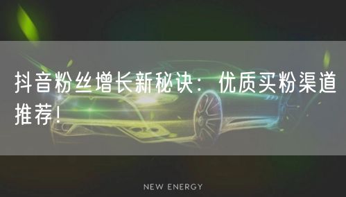 抖音粉丝增长新秘诀：优质买粉渠道推荐！