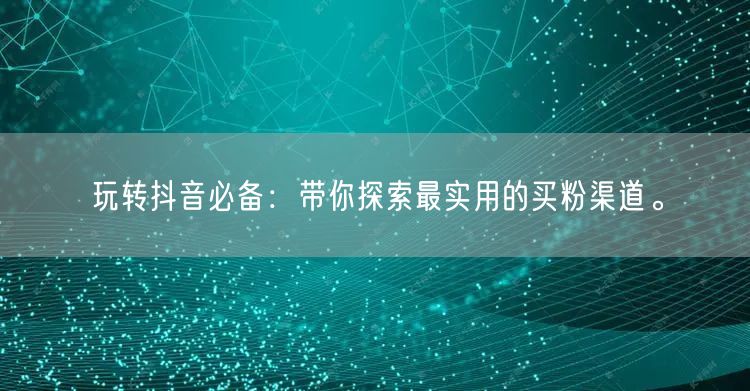 玩转抖音必备：带你探索最实用的买粉渠道。