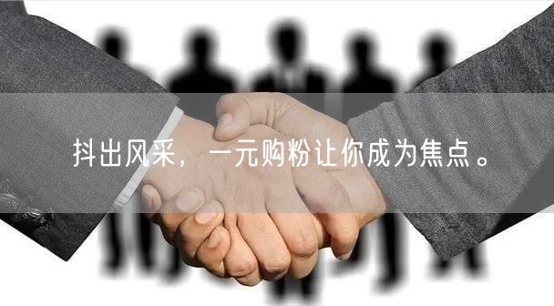 抖出风采，一元购粉让你成为焦点。