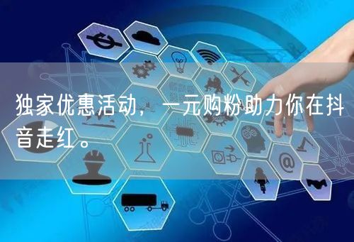 独家优惠活动，一元购粉助力你在抖音走红。