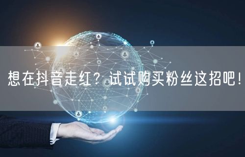 想在抖音走红？试试购买粉丝这招吧！