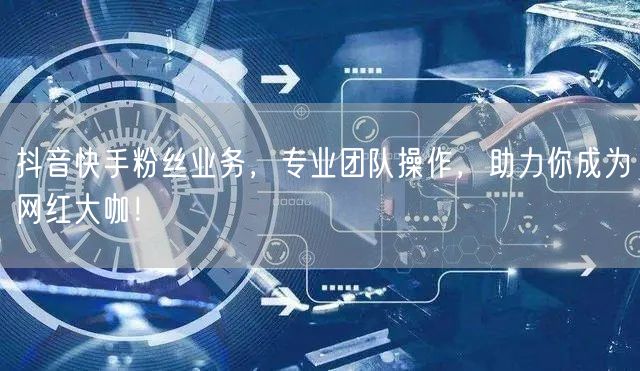 抖音快手粉丝业务，专业团队操作，助力你成为网红大咖！