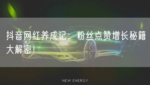 抖音网红养成记：粉丝点赞增长秘籍大解密！
