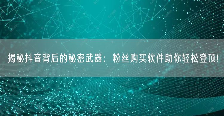 揭秘抖音背后的秘密武器：粉丝购买软件助你轻松登顶!