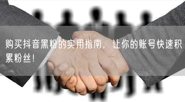购买抖音黑粉的实用指南，让你的账号快速积累粉丝！