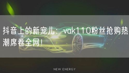 抖音上的新宠儿：vak110粉丝抢购热潮席卷全网！