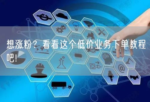 想涨粉？看看这个低价业务下单教程吧!