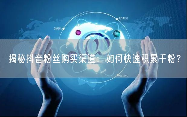 揭秘抖音粉丝购买渠道：如何快速积累千粉？
