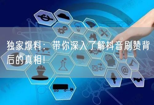 独家爆料：带你深入了解抖音刷赞背后的真相！