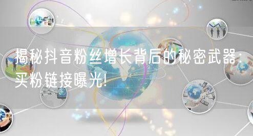 揭秘抖音粉丝增长背后的秘密武器：买粉链接曝光!