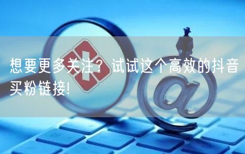 想要更多关注？试试这个高效的抖音买粉链接!