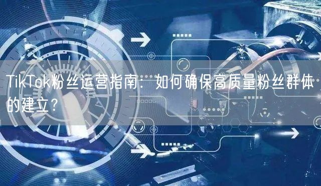 TikTok粉丝运营指南：如何确保高质量粉丝群体的建立？