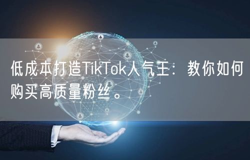 低成本打造TikTok人气王：教你如何购买高质量粉丝。