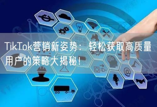 TikTok营销新姿势：轻松获取高质量用户的策略大揭秘！
