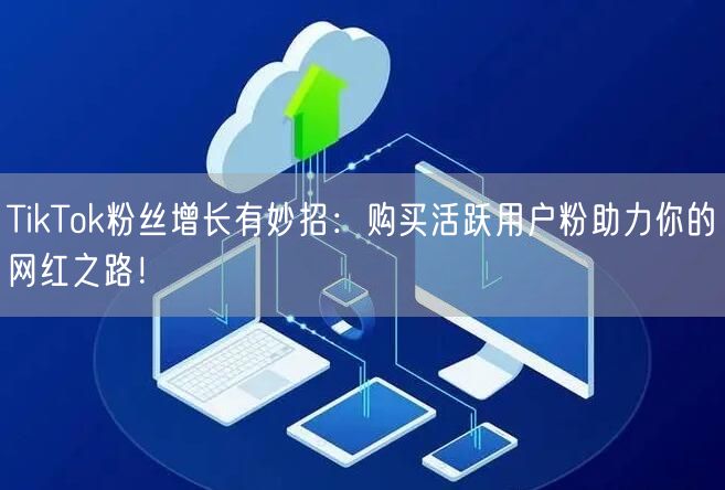 TikTok粉丝增长有妙招：购买活跃用户粉助力你的网红之路！