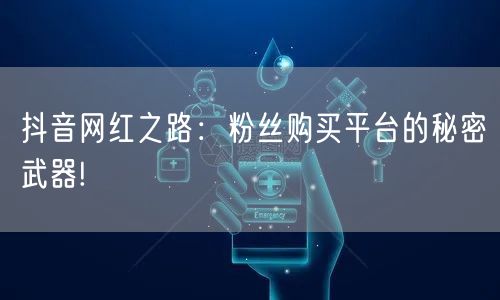 抖音网红之路：粉丝购买平台的秘密武器!