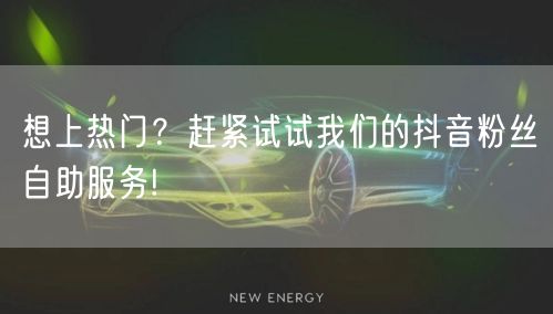 想上热门？赶紧试试我们的抖音粉丝自助服务!