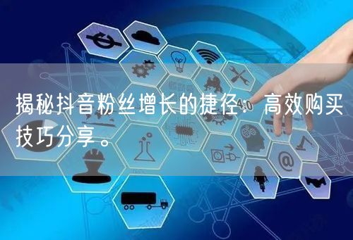 揭秘抖音粉丝增长的捷径：高效购买技巧分享。