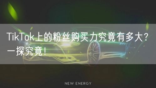 TikTok上的粉丝购买力究竟有多大？一探究竟！