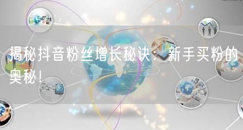揭秘抖音粉丝增长秘诀：新手买粉的奥秘！