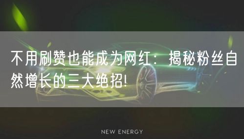 不用刷赞也能成为网红：揭秘粉丝自然增长的三大绝招!