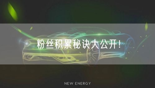 粉丝积累秘诀大公开！