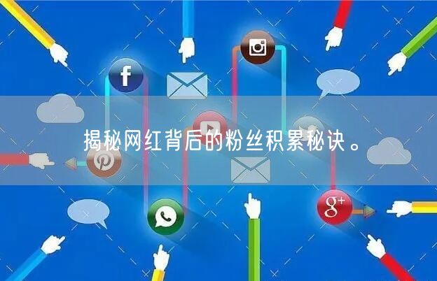 揭秘网红背后的粉丝积累秘诀。