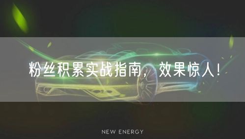 粉丝积累实战指南，效果惊人！